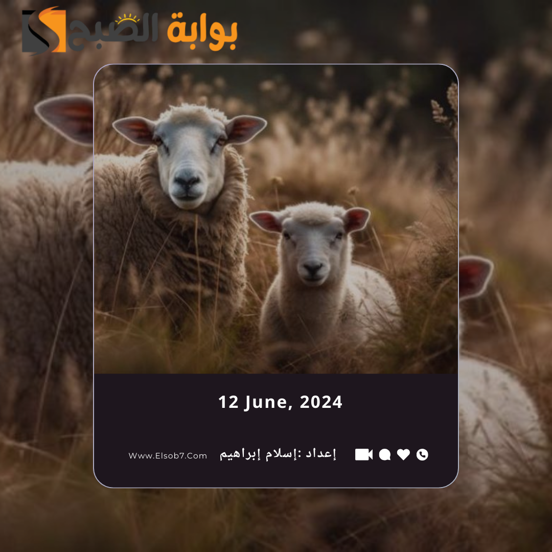 صك الاضحية في السعودية 1445 – 2024 "السعر - طريقة الشراء – طريقة الدفع" 5 صك الاضحية في السعودية 1445 – 2024 “السعر – طريقة الشراء – طريقة الدفع”