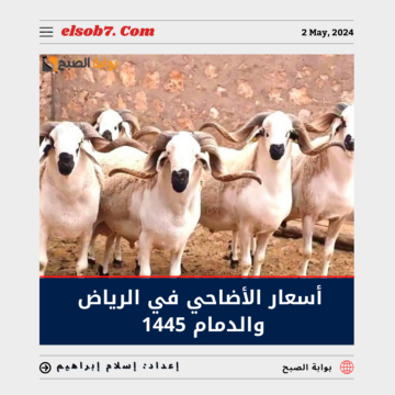 كم أسعار الأضاحي في الرياض والدمام 1445 – 2024 وأماكن شراء صكوك الأضحية