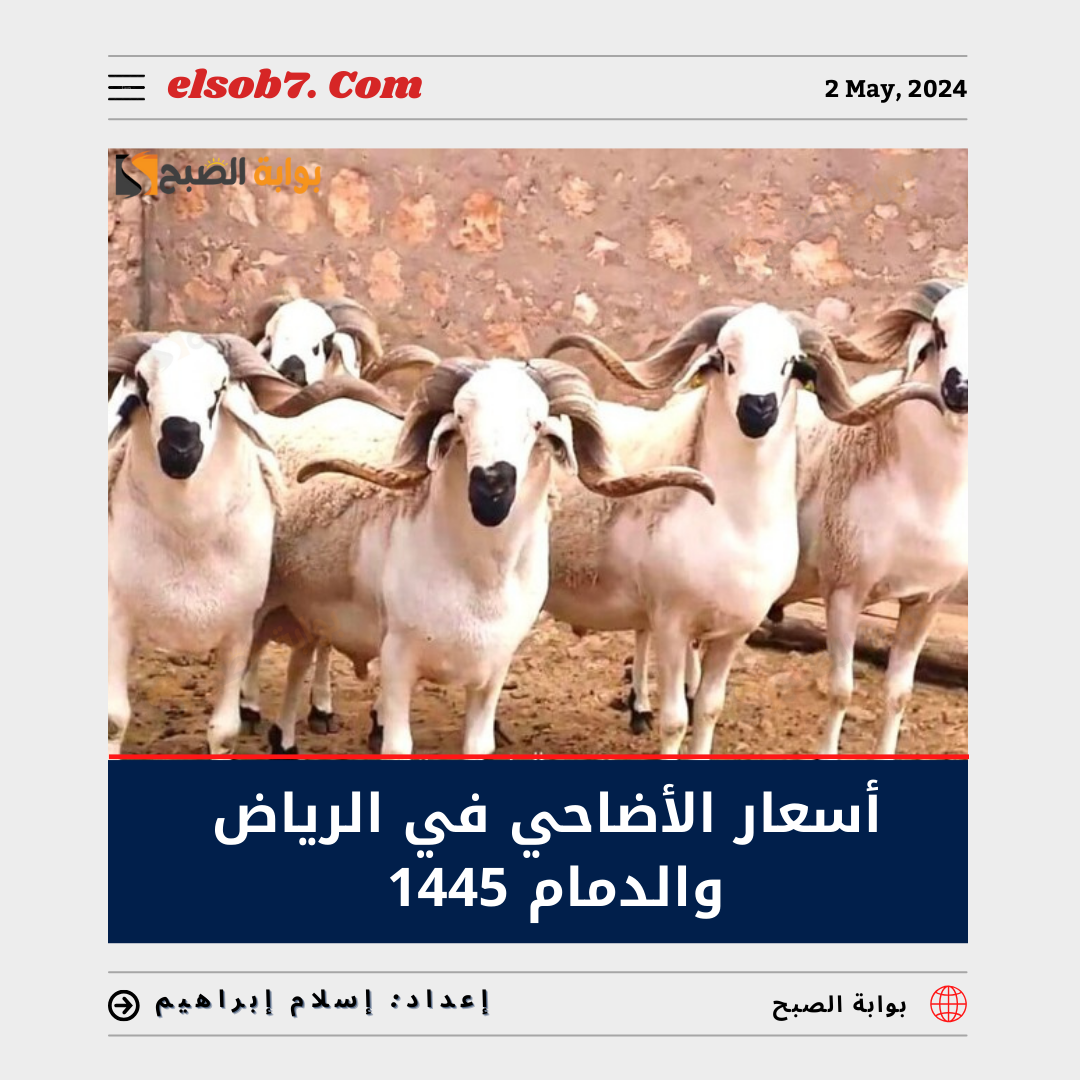 كم أسعار الأضاحي في الرياض والدمام 1445 - 2024 وأماكن شراء صكوك الأضحية 5 كم أسعار الأضاحي في الرياض والدمام 1445 – 2024 وأماكن شراء صكوك الأضحية
