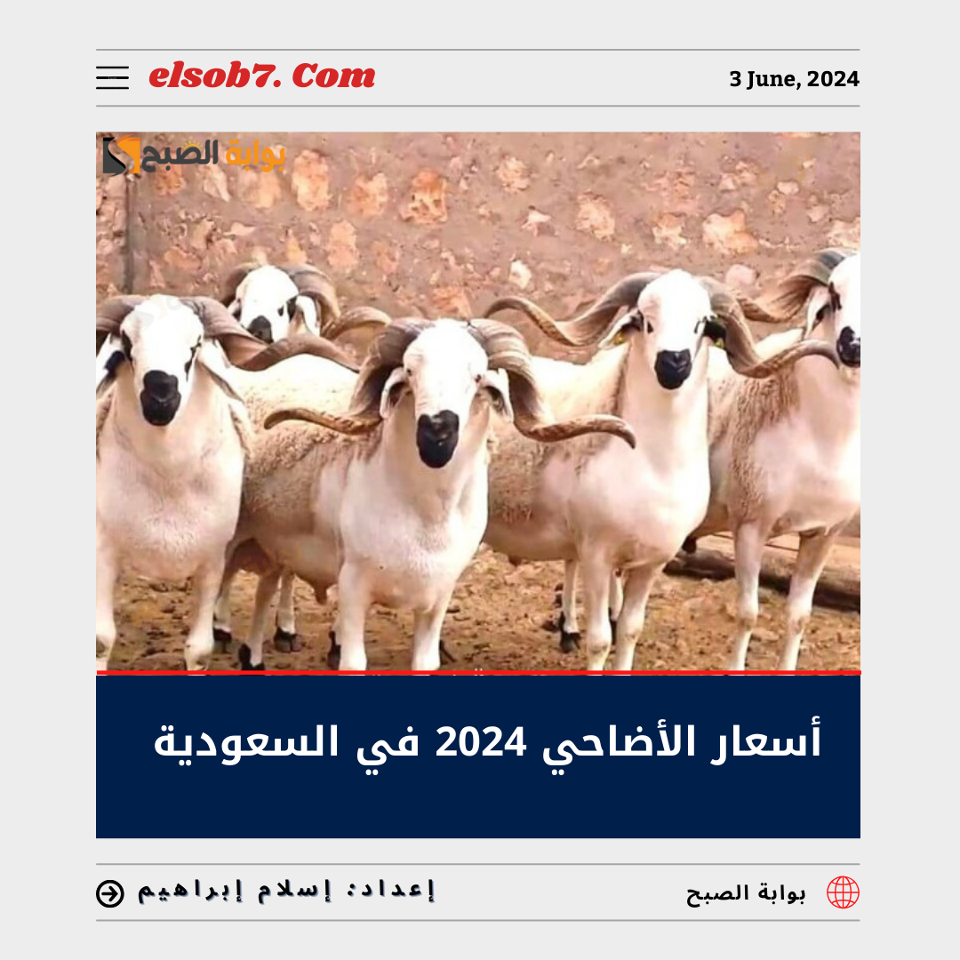 أسعار الأضاحي 2024 في السعودية وسعر صك الأضحية 1445