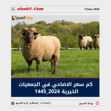 كم سعر الأضاحي في الجمعيات الخيرية 2024 – 1445 في السعودية