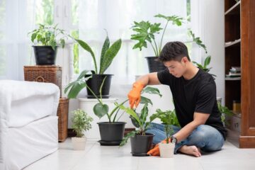 اعرف بنفسك .. كيف تحافظ على النباتات المنزلية؟ بحالة جيدة وصحية