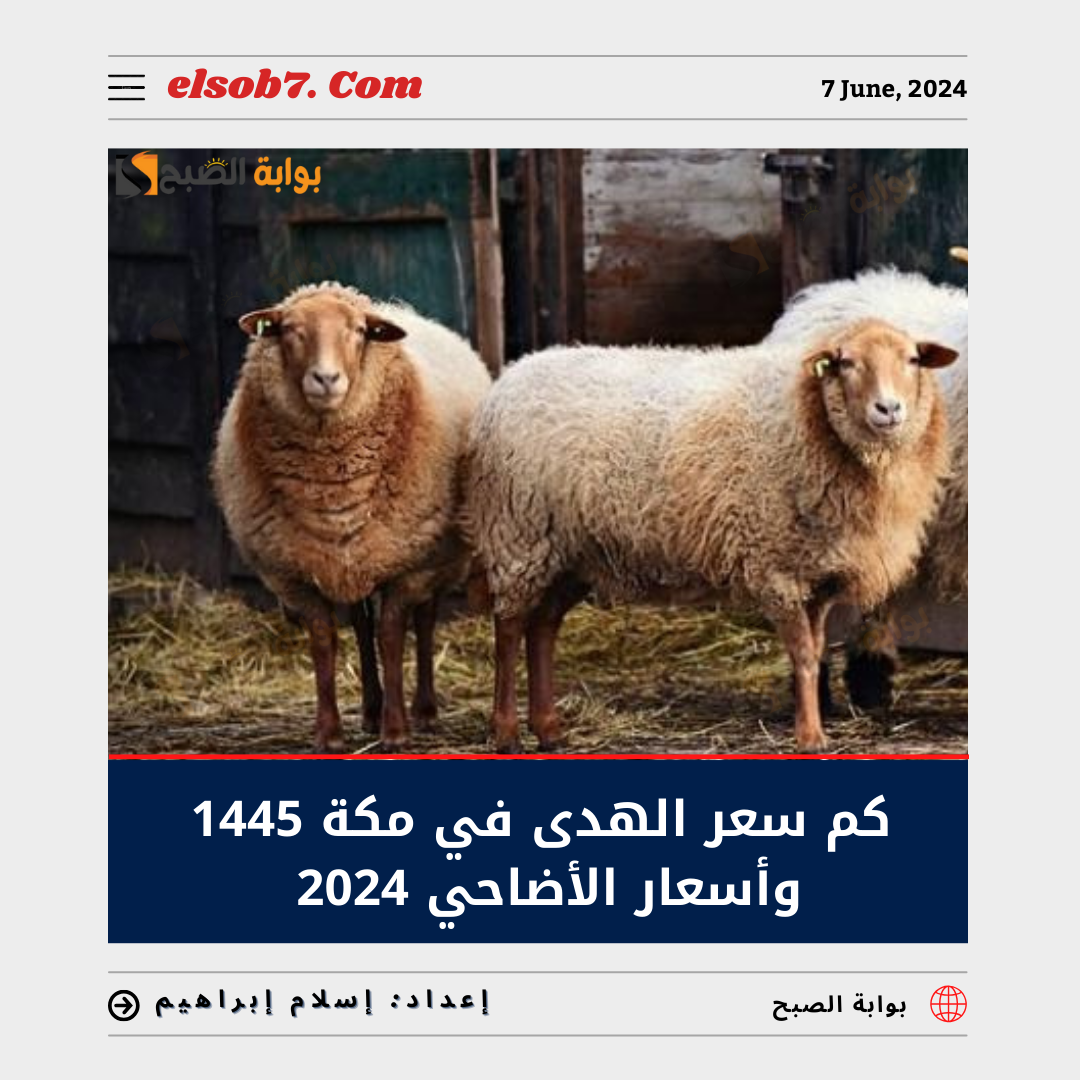 كم سعر الهدى في مكة 1445 وأسعار الاضاحي في السعودية 2024 5 كم سعر الهدى في مكة 1445 وأسعار الاضاحي في السعودية 2024