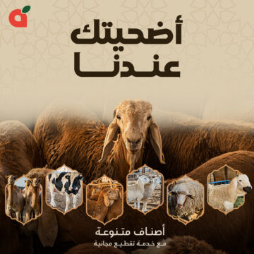 أضحيتك عندنا والتقطيع مجانًا| عروض وتخفيضات هايبر بنده السعودية بمناسبة عيد الأضحي 2024