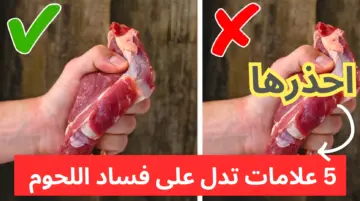 متخليش حد يضحك عليك.. 5 علامات تدل على فساد اللحوم احذرها