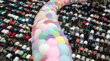 657