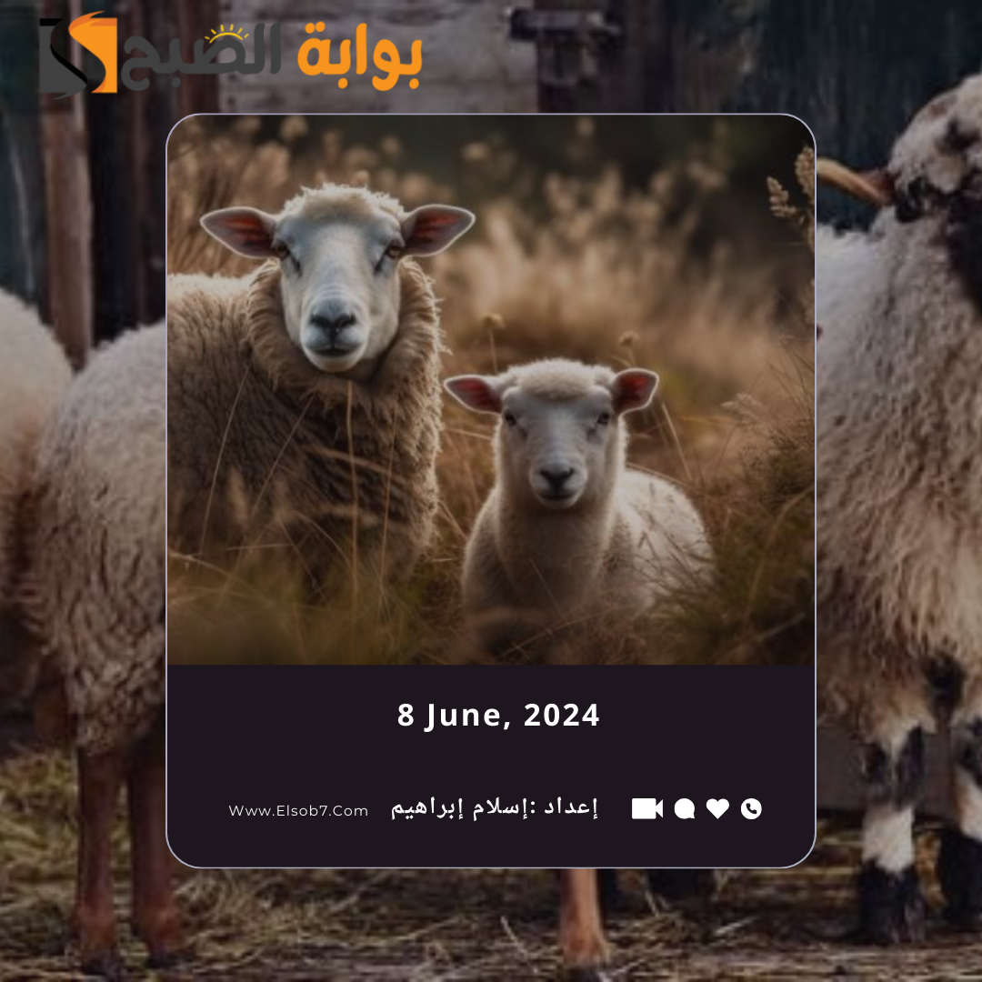 مواقع بيع الأضاحي المؤقتة في الرياض 2024 ورابط حجز الأضحية عبر adahi.org 5 مواقع بيع الأضاحي المؤقتة في الرياض 2024 ورابط حجز الأضحية عبر adahi.org