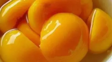 737
