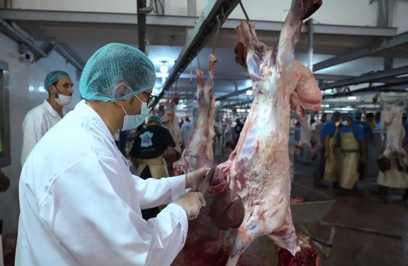 8000 ذبيحة.. تفاصيل اليوم الرابع للعيد بمسالخ الرياض 5 8000 ذبيحة.. تفاصيل اليوم الرابع للعيد بمسالخ الرياض