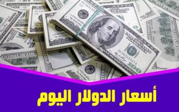 الدولار بكام النهارده.. سعر الدولار اليوم الثلاثاء 25 يونيو في كافة البنوك.. ياترى وصل كام النهارده..؟!