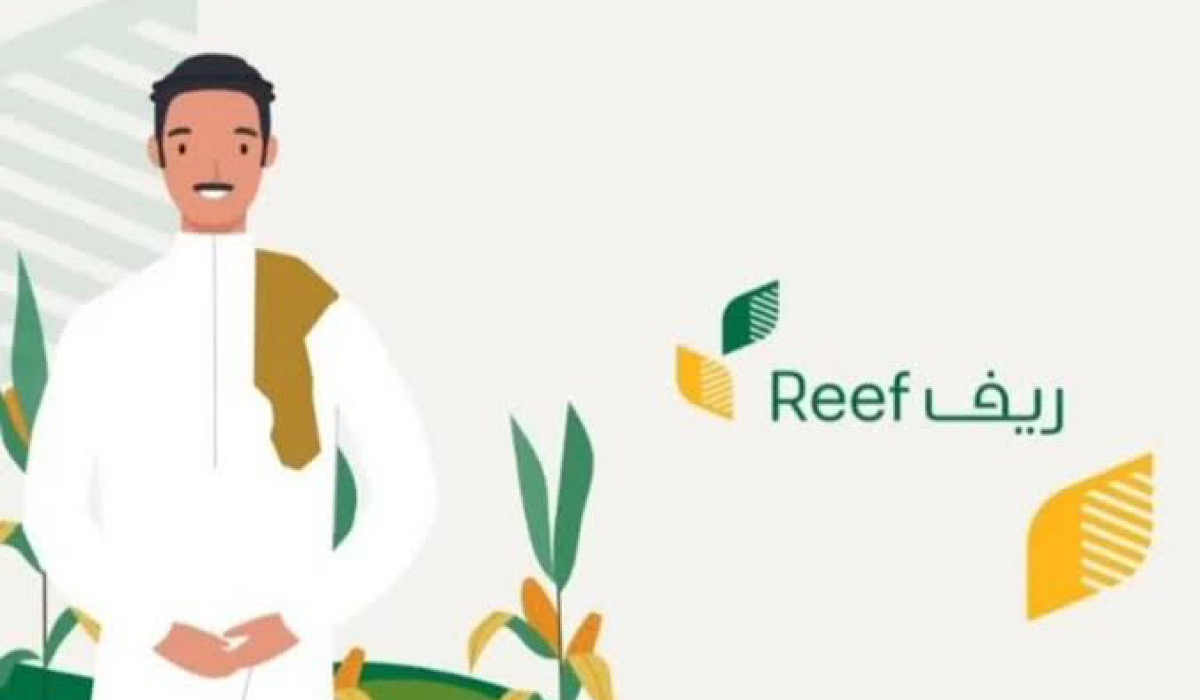 ما هي شروط دعم ريف وإجراءات التسجيل المطلوبة؟ "البرنامج" يوضح 5 ما هي شروط دعم ريف وإجراءات التسجيل المطلوبة؟ “البرنامج” يوضح