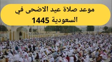 IMG 20240614 213823