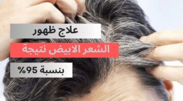 IMG ٢٠٢٤٠٦٠١ ١٣٣٨٤٤