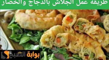 IMG ٢٠٢٤٠٦٠١ ١٧٣٦٣٤