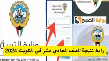 IMG ٢٠٢٤٠٦٠٢ ١٦٥٩١٥