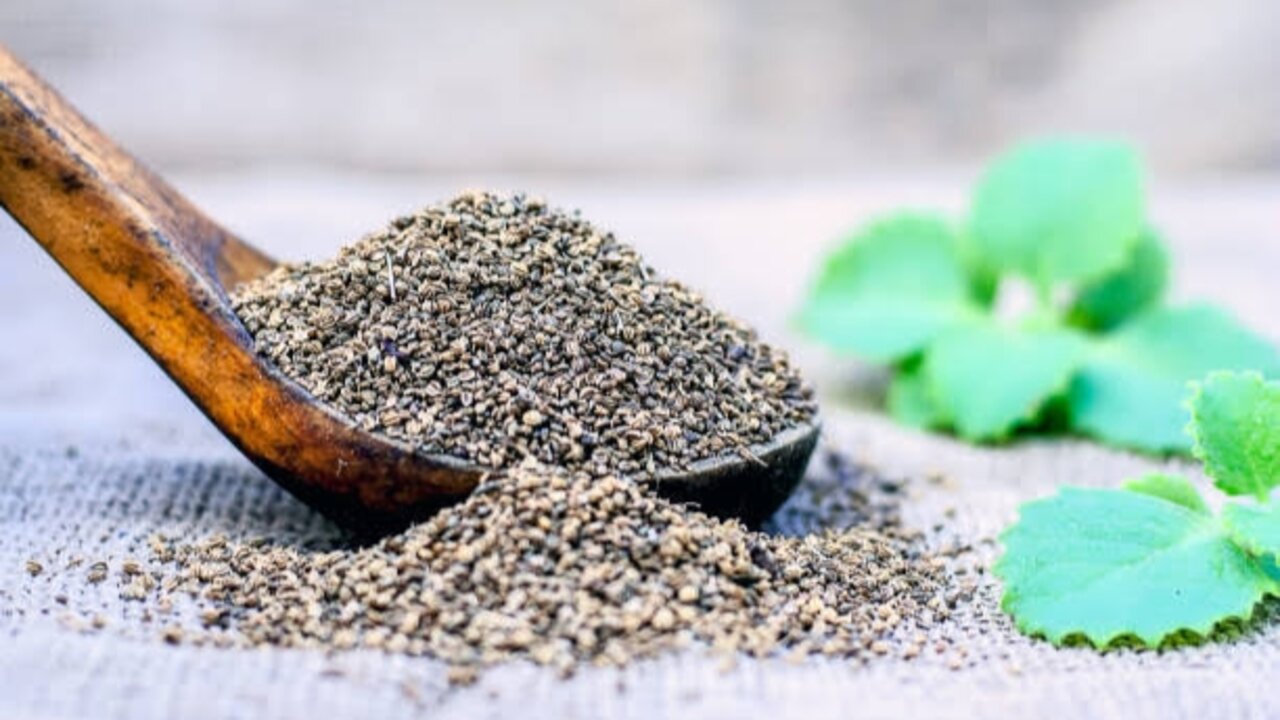حجمها ضئيل لكن مفعولها عملاق.. نوع من البذور الصغيرة يحتوي على أسرار طبيعية ستجعلك لا تستغنى عنها