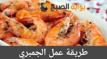 IMG ٢٠٢٤٠٦٠٣ ١٣٥٨٥١