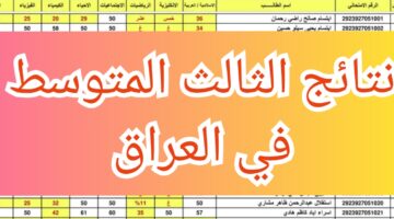 IMG ٢٠٢٤٠٦٠٤ ١٣٤١٣٣