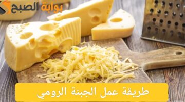 IMG ٢٠٢٤٠٦٠٤ ٢٢٠٤١٦