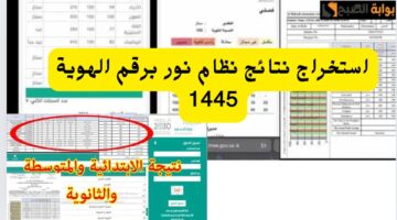 IMG ٢٠٢٤٠٦٠٨ ١١٥٠٠٣