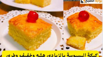 IMG ٢٠٢٤٠٦٠٩ ٢١٤٥٠٩