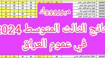 IMG ٢٠٢٤٠٦١٢ ٢١٥١٤٤ 1