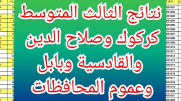 IMG ٢٠٢٤٠٦٢٢ ١١٢٢٥٨