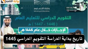 IMG ٢٠٢٤٠٦٢٦ ١٣٣١٢٥