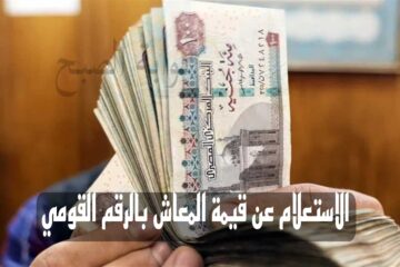 التأمينات الاجتماعية توضح طريقة الاستعلام عن قيمة المعاش بالرقم القومي لعام 2024 بعد الزيادة