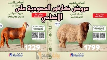 “اسعار لا تفوت”.. عروض كارفور السعودية على الاضاحي بداية من 6 يونيو حتى ليلة عيد الاضحى