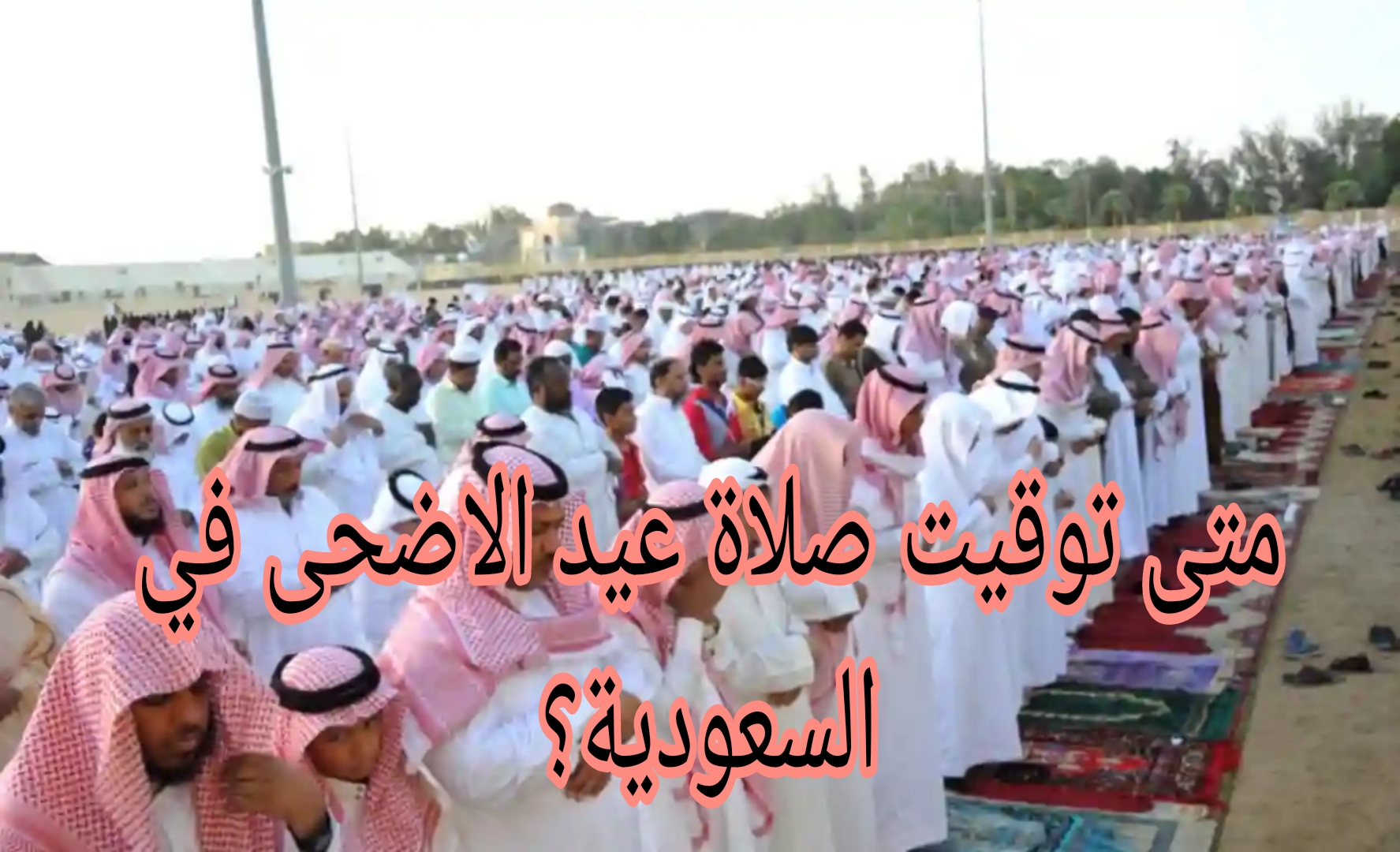 "عساكم من عواده".. متى توقيت صلاة عيد الأضحى في السعودية 1445ه مختلف المدن؟ 5 “عساكم من عواده”.. متى توقيت صلاة عيد الأضحى في السعودية 1445ه مختلف المدن؟