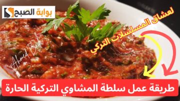 لمحبين المطبخ التركي.. أعرفي طريقة عمل سلطة المشاوي التركية الحارة وحضريها في عيد الأضحى 2024