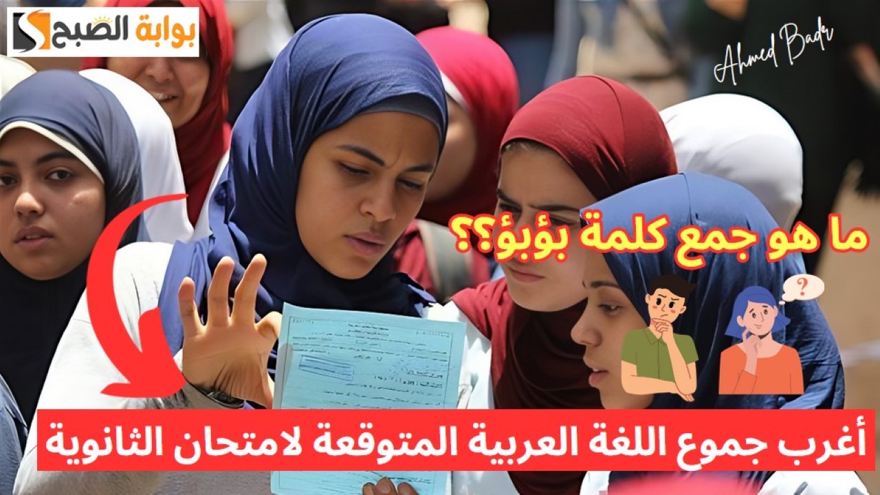 قبل الامتحان بساعات.. أغرب جموع اللغة العربية المتوقعة لامتحان الثانوية "بؤبؤ وإلى ودلو" 5 قبل الامتحان بساعات.. أغرب جموع اللغة العربية المتوقعة لامتحان الثانوية “بؤبؤ وإلى ودلو”