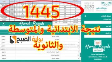 T401717519453169