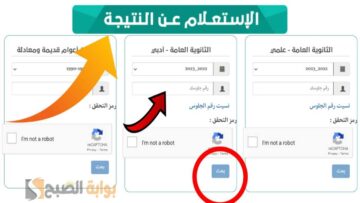 حقيقة ظهور نتائج الصف التاسع باليمن 2024؟.. وزارة التعليم توضح