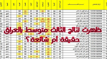 T401719738888174
