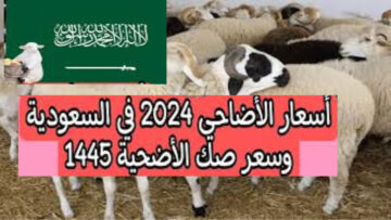 اشتري الأضحية بلا تعب.. أماكن وأسعار بيع الأضاحي في السعودية 1445 بأسعار تنافسية