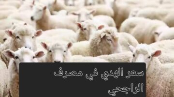 images 3