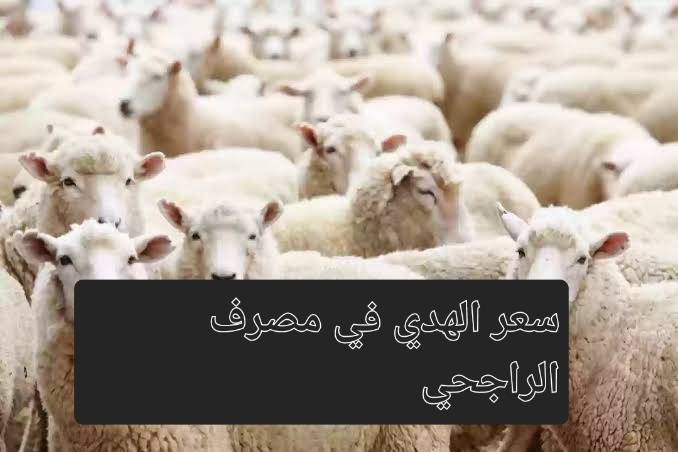 مع اقتراب موسم الحج.. تعرف على سعر الهدي في مصرف الراجحي 1445 والخطوات المطلوبة للشراء