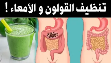 بدون دكاترة.. تنظيف القولون والامعاء من السموم وتراكمات السنين بطرق طبيعية فعالة