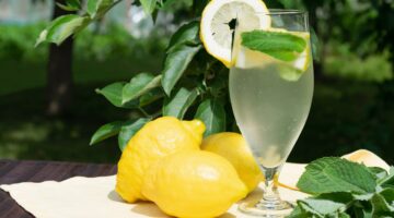 preparation of the lemonade drink lemonade in the 2022 10 31 21 34 15 utc