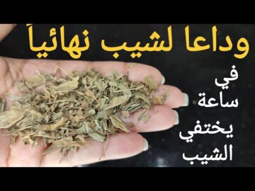 مش هتروحي للكوافير.. التخلص من شيب الشعر وتلوين طبيعي في ساعه واحده هتلاحظي الفرق