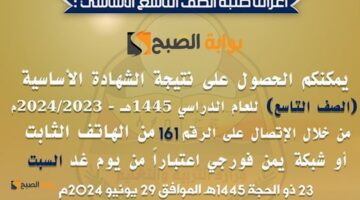 yemen1 334687093011406 4256398114906041150 n