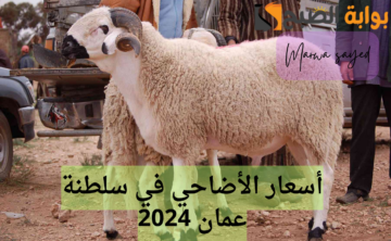 “بمناسبة عيد الأضحى المبارك” .. إليك أسعار الأضاحي في سلطنة عمان 2024 | وموعد العيد المتوقع