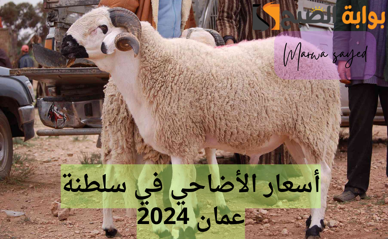 “بمناسبة عيد الأضحى المبارك” .. إليك أسعار الأضاحي في سلطنة عمان 2024 | وموعد العيد المتوقع