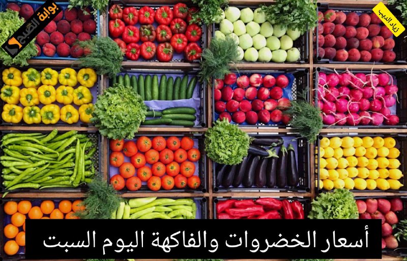 كيلو الطماطم بكام النهاردة؟.. أسعار الفاكهة والخضروات اليوم السبت 1 يونيو 2024 5 كيلو الطماطم بكام النهاردة؟.. أسعار الفاكهة والخضروات اليوم السبت 1 يونيو 2024