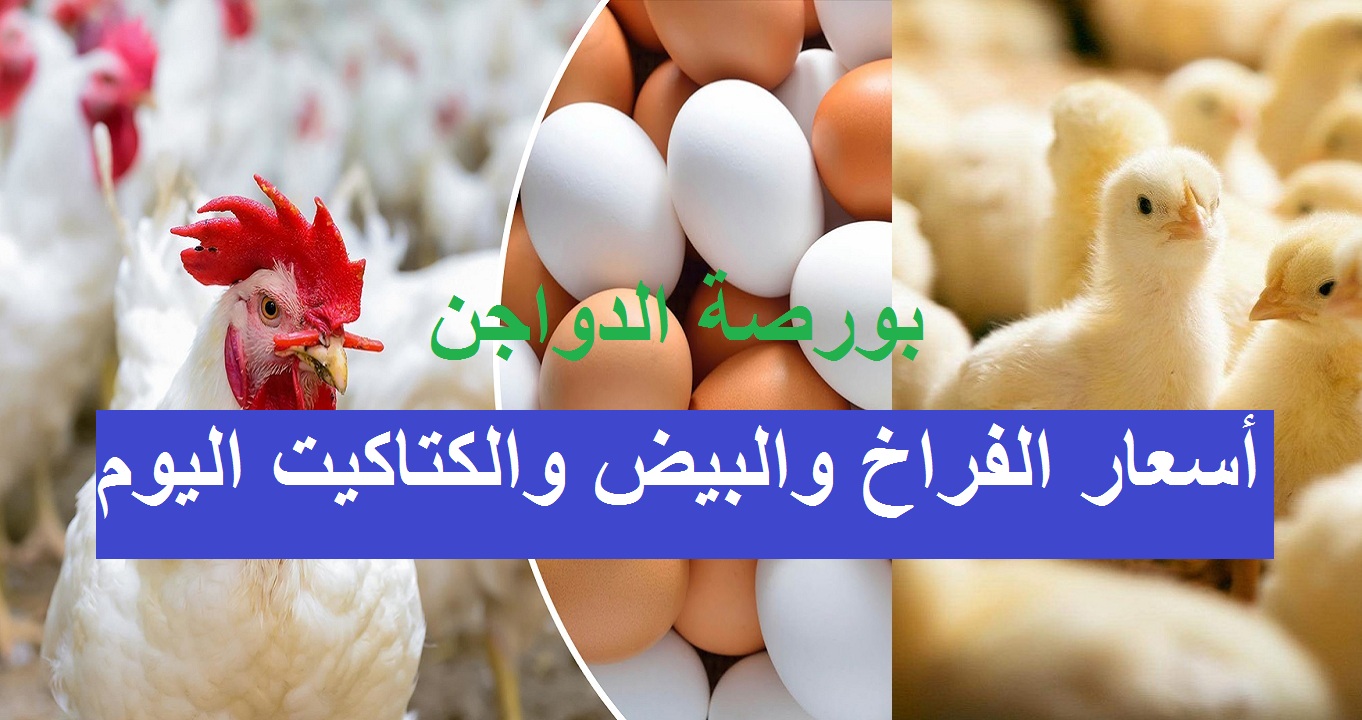 رسمياً.. أسعار بورصة الدواجن اليوم الأحد 2/6/2024 والبيض في مستهل تعاملات الأسواق المصرية 5 رسمياً.. أسعار بورصة الدواجن اليوم الأحد 2/6/2024 والبيض في مستهل تعاملات الأسواق المصرية