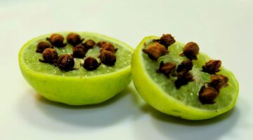 أفضل 3 طرق للتخلص من الذباب