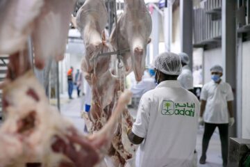 كم سعر الهدي في بنك الراجحي 1445؟ وكيفية شراء الأضاحي عبر منصة إحسان؟