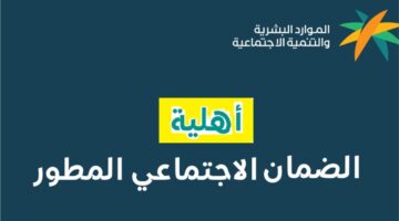 أهلية الضمان المطور